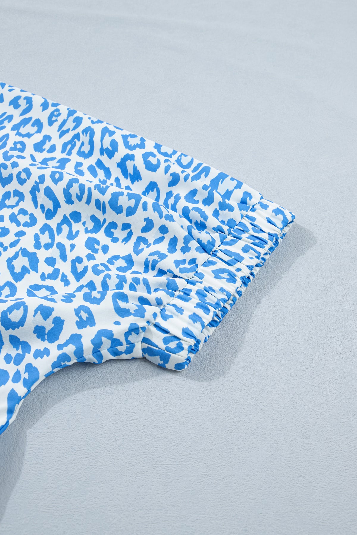 Plus Size Sky Blue Striped Leopard Blouse