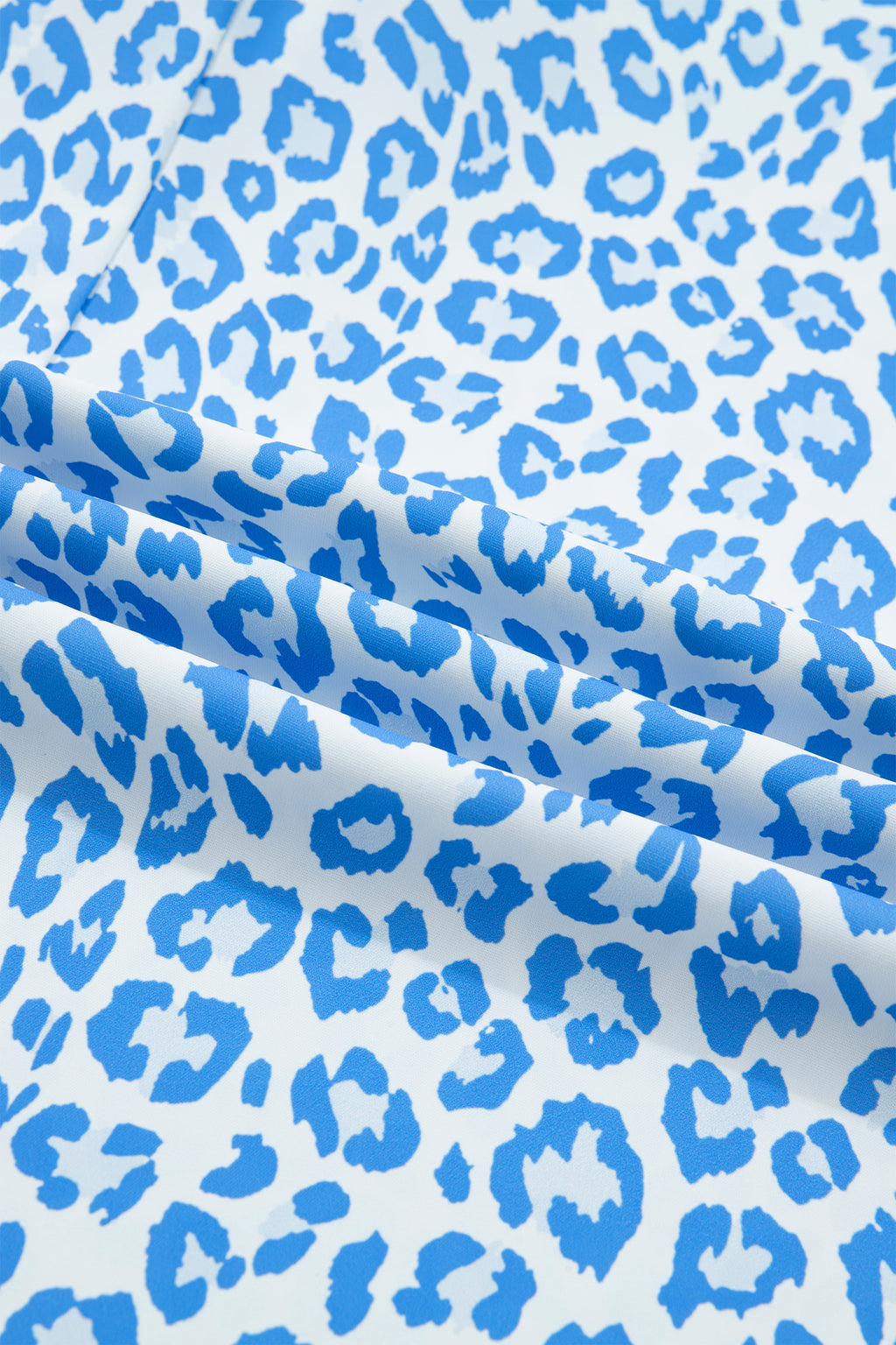 Plus Size Sky Blue Striped Leopard Blouse