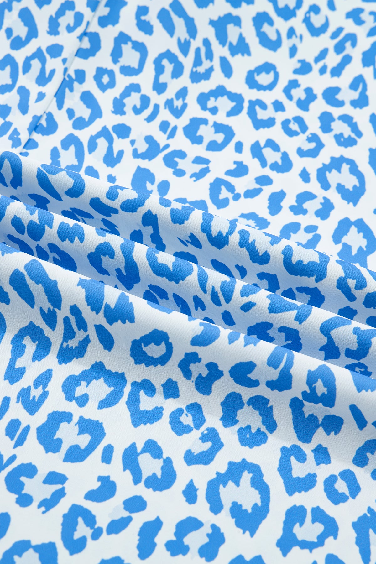 Plus Size Sky Blue Striped Leopard Blouse